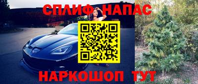 PSILOCYBIN Рыбинск