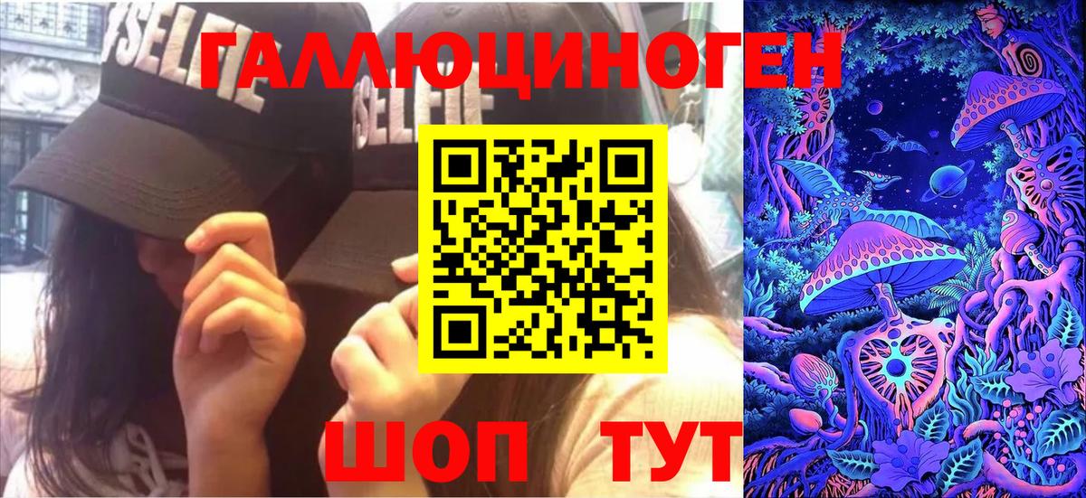 Галлюциногенные грибы Psilocybe Павлово
