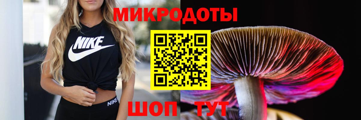 Псилоцибиновые грибы MAGIC MUSHROOMS  Вход с VPN  Павлово  купить   Псилоцибиновые грибы Magic Shrooms 