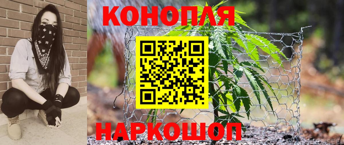 МАРИХУАНА семена  Шишки марихуана конопля  Вход с VPN  Шишки марихуана план  Павлово 